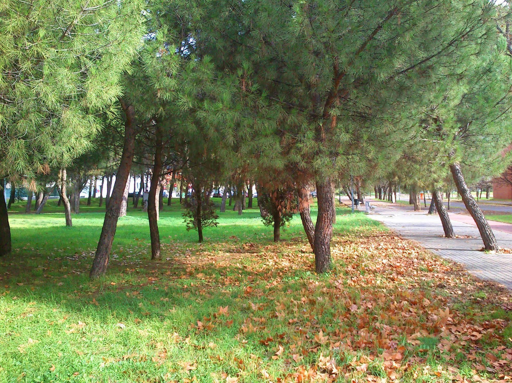 Residencia Universitaria Resa Giner De Los Rios Alcalá de Henares Esterno foto